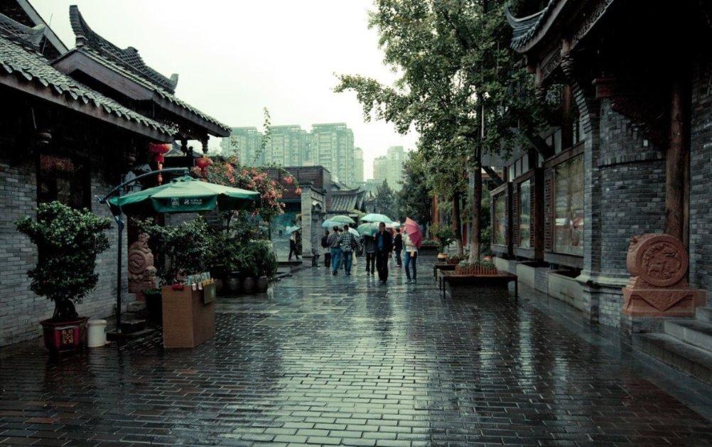 乡下的流浪猫太多怎么办,你的问答宝典